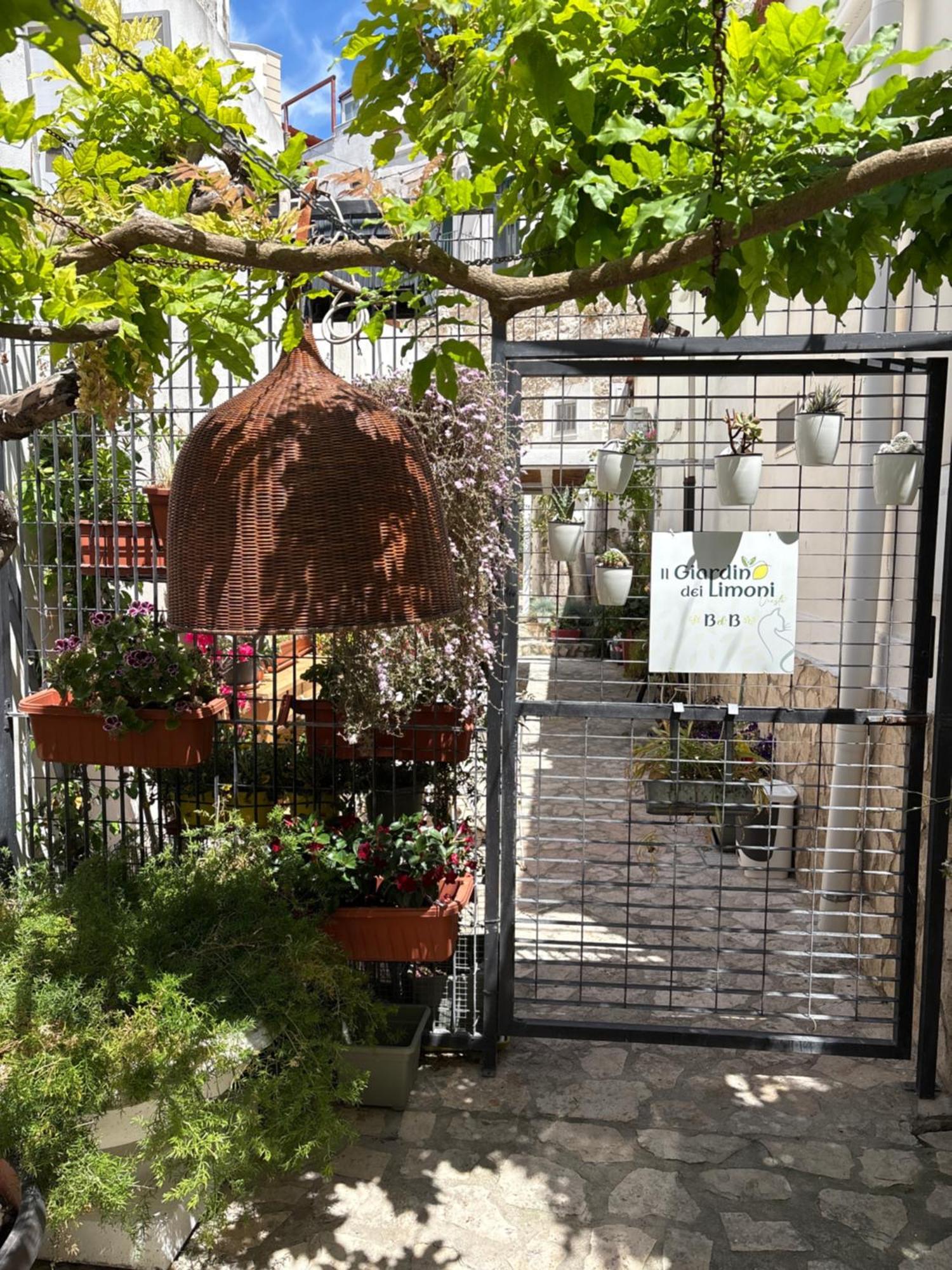 Il Giardino Dei Limoni Hotel Vieste Kültér fotó